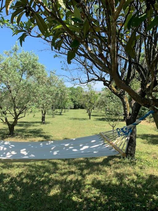 Couette-café Le Nomade En Provence *